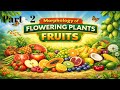 Fruit part-2 Morphology #botany #biology #mauryasir #neet #neetbiology #education #fruit #morphology