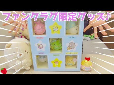 すみっコぐらし　ファンクラブ限定　てのりぬいぐるみ　セット　FC すみっコぐらし【公式】 on X: 
