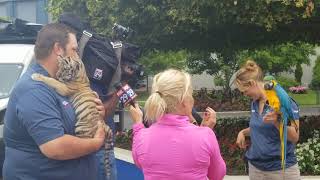 Tiger cub at Great Adventure gets named after women&#39;s soccer star Carli Lloyd