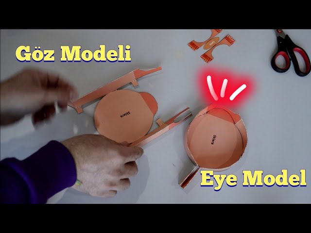 Kağıttan Göz Modeli - YouTube