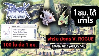 Ragnarok Online GGT Classic : หาเงิน Petite มังกร Geffen  ที่ Geffen Field (gef_fild06) 1ชม.