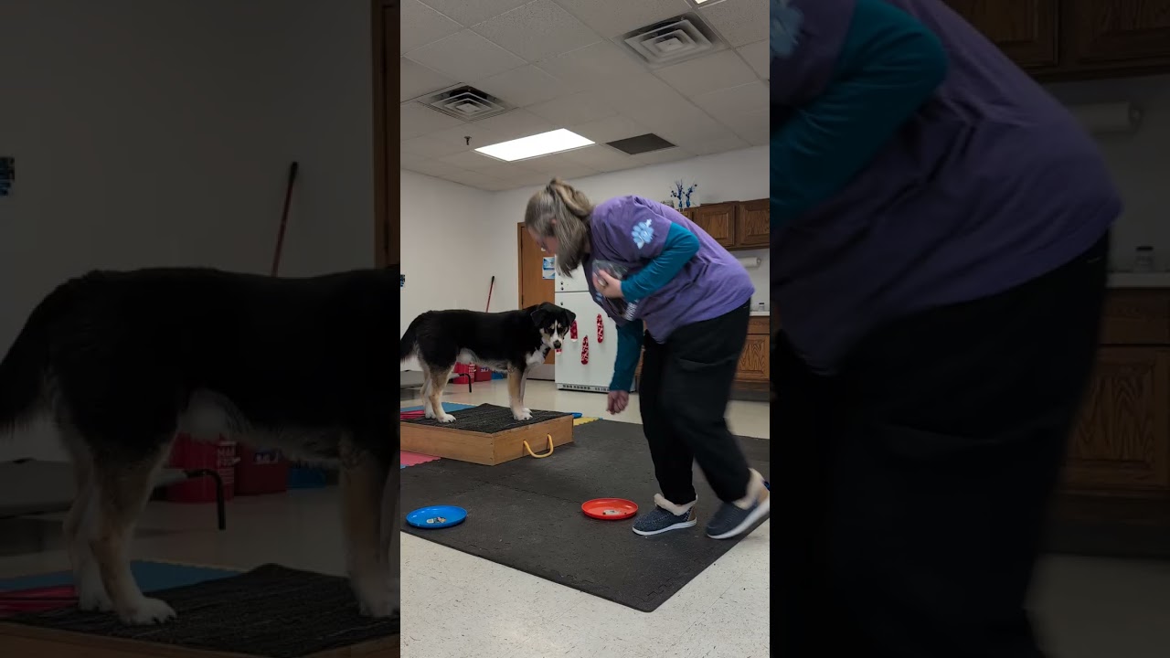 Popcorn Party with Azul