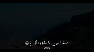 سورة ص الآية (55-59) ... أكتب شي تؤجر عليه #القرآن_الكريم #تلاوة_خاشعة #اجر_لي_ولك #سورة_ص