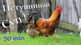 Суп За 50 минут! 👍 Chicken soup!