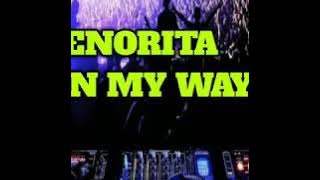 DJ SENORITA VS ON MY WAY FULL_ BASS