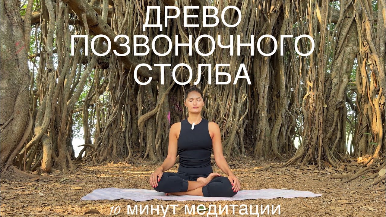 Медитативная практика Древо позвоночного столба ￼| 10 минут