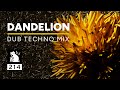 Dandelion  dub techno mix