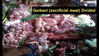 কুরবানীর গোশত বণ্টনের সঠিক পদ্ধতি | কিভাবে কাটবেন | ভাগে কুরবানীর নিয়ম | Qurbani Cow Meat Sacrifice screenshot 1