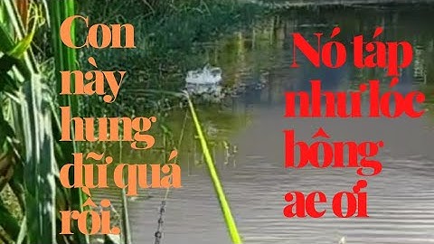 Ngọc Hùng Fishing.#phần11 lure cá lóc với những cú táp thần chưởng
