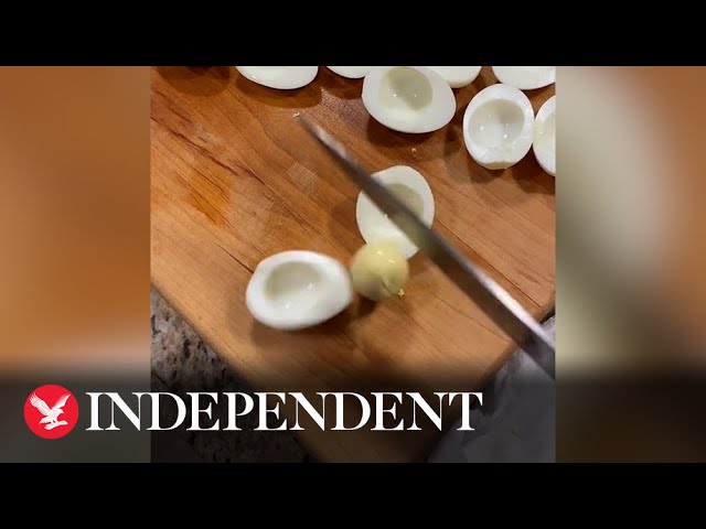 Egg Slicer for Hard Boiled Egg, Dokpod Egg Cutter for Hard Boiled Eggs –  TIKTOK FACE