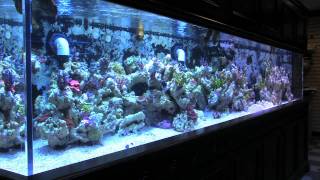 Details Vivid Aquariums Store in HD! Update