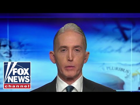 Trey Gowdy: Democrats want to remove Republican governors instead of illegal immigrants.