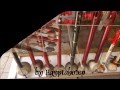 EGYPT 595 - ARABIC MUSICAL INSTRUMENTS II - (by Egyptahotep)