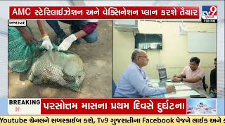 AMC Starts Scientific Dog Census in Ahmedabad With GPS Tracking | Gujarat | TV9Gujarati