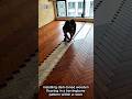 Installing Herringbone Wooden Flooring