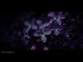 Lilac - Plastic Tree (English Subtitles)
