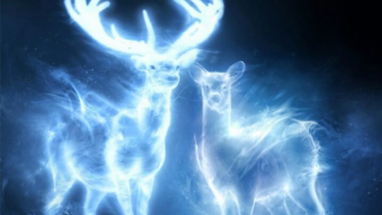 HP: Un nuevo lugar para quedarse. Capitulo 6 a 7. Fanfic.