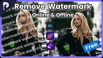 Top 3 Online & Offline Apps to Remove Watermark from Video（2024 Tutorial）