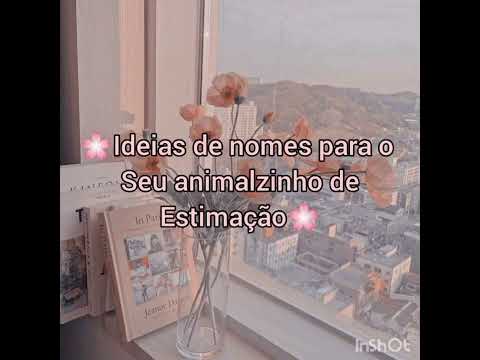 Ideias de nomes para o seu animalzinho de estimação