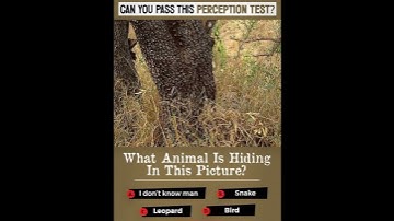 What animal is hiding in this picture? | puzzle #quiz #riddle #tricks #youtubeshorts #trending