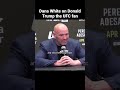 Dana White On Donald Trump The UFC Fan Ufc287 Ufc Dana White On Donald Trump The UFC Fan Ufc287 Ufc