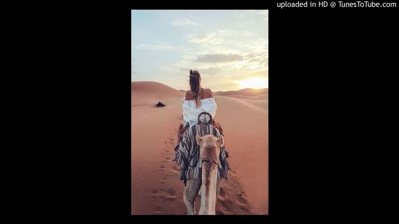 amphibious zoo _ sweet avalon ♥ YouTube