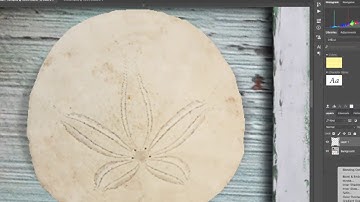 Adobe Photoshop CC 2015 | Classroom in a Book: Lesson 3 Tips and Tricks