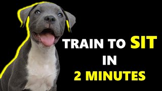 EASIEST WAY to train SIT command by ABC of the animal Kingdom 221 views 1 year ago 1 minute, 57 seconds