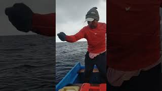 Ikan Segar Lagi Naik Dari Dasar Air Laut