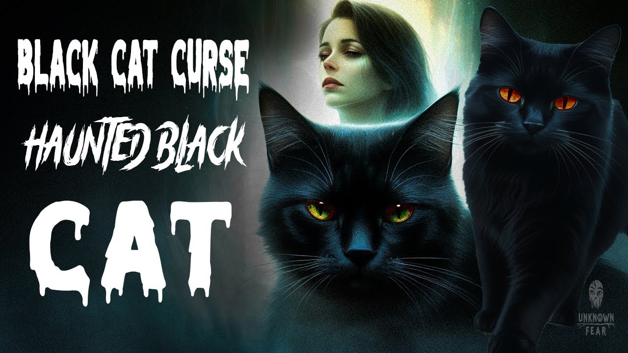 Black Cat Curse | Haunted Black Cat | True Horror Stories