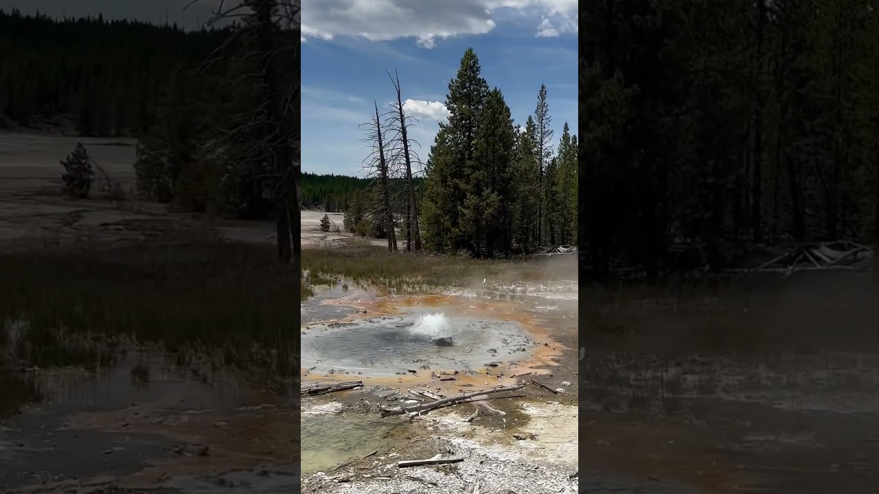 Yellow stone national park 