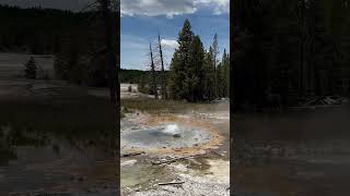 Yellow stone national park #geyser #hotspring #volcano #lava #nature #natgeo #earth #wonders