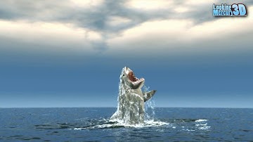 Great White Shark Shows it big body - RealFlow & LightWave