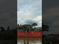 Safina park godagari Rajshahi