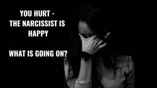 You Hurt  - The Narcissist Is Happy  : What Is Going On ?