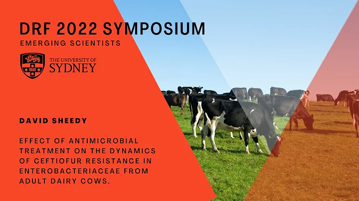 DRF Symposium 2022: Emerging Scientists - David Sh...