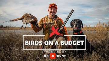 Birds on a Budget: Pinching Pennies While Chasing Roosters in South Dakota