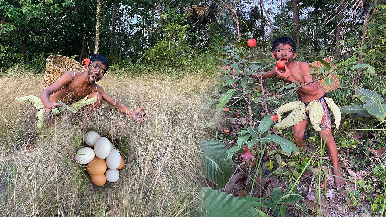 Primitive life-Jungle man collect eggs in silver grass - YouTube