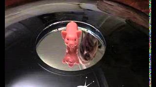 Very cool Illusion of  pig