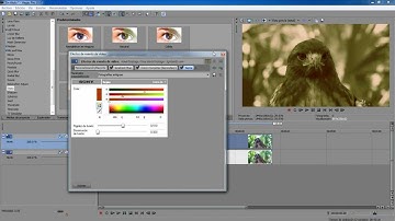 Tutoriales Vegas Pro 9.0 y 10.0 // Film Look #9