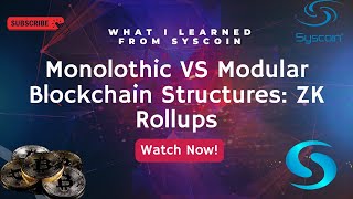 What I Learned From Syscoin: Modular VS Monolithic Blockchains: ZK Rollups