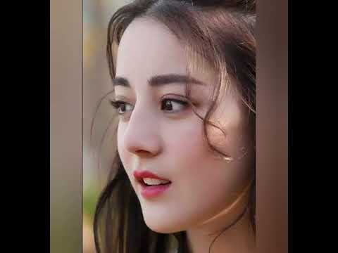 Seals Crofts Windflowers 