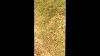 WP 20130725 017
