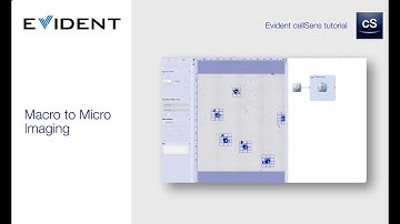 cellSens™ Tutorial: Macro to Micro Imaging