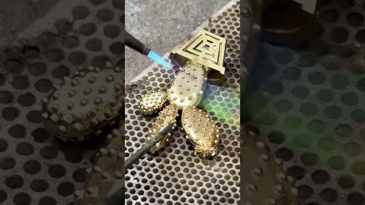 🌵 ALBERTO COLLECTION 