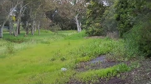 ECE6002 Assessment 1