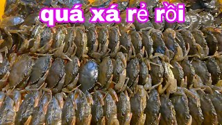 Chợ cá đầu tuần không ngờ cua quá xá rẻ luôn rồi?