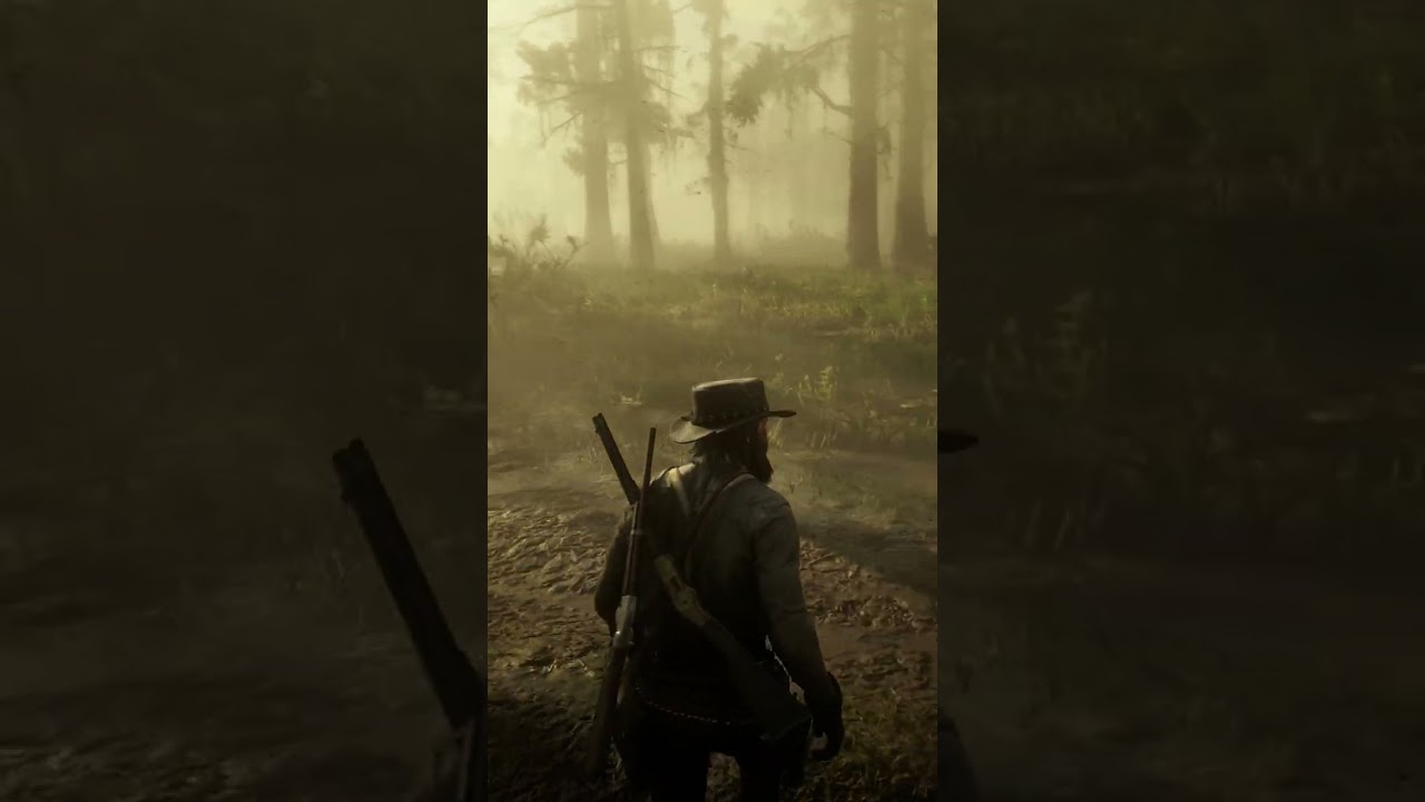 RDR 2 - John Marston was ambushed by NPC  