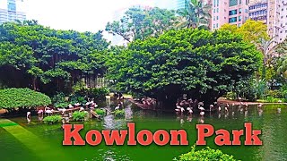 A visit to co-creatures at kowloon park ...