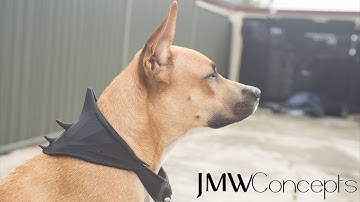 3D Printed Dog Armour / Armor Timelapse - Designed by JWall @ Print That Thing - Printed Anet A8